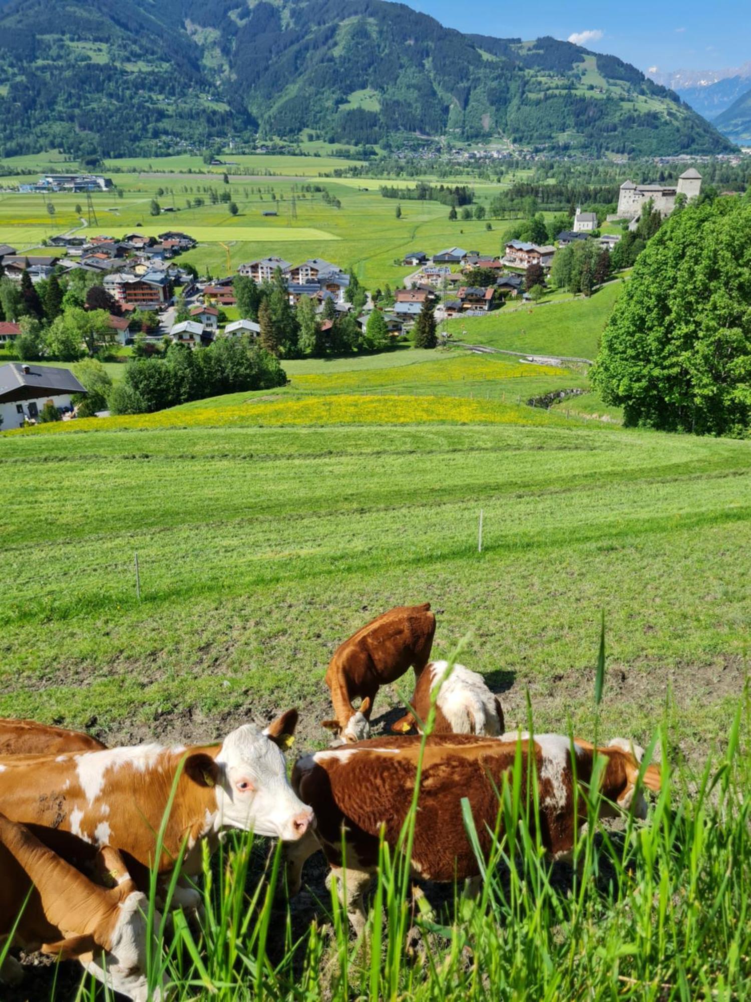 Panorama Hotel Guggenbichl - Inkl Sommerkarte, Freier Eintritt Ins Tauern Spa & Bester Ausblick Uber Kaprun Eksteriør bilde